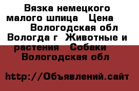 Вязка немецкого малого шпица › Цена ­ 5 000 - Вологодская обл., Вологда г. Животные и растения » Собаки   . Вологодская обл.